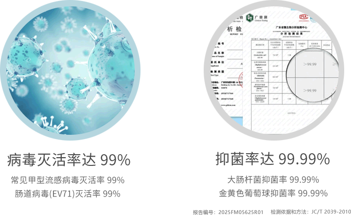 anxin05