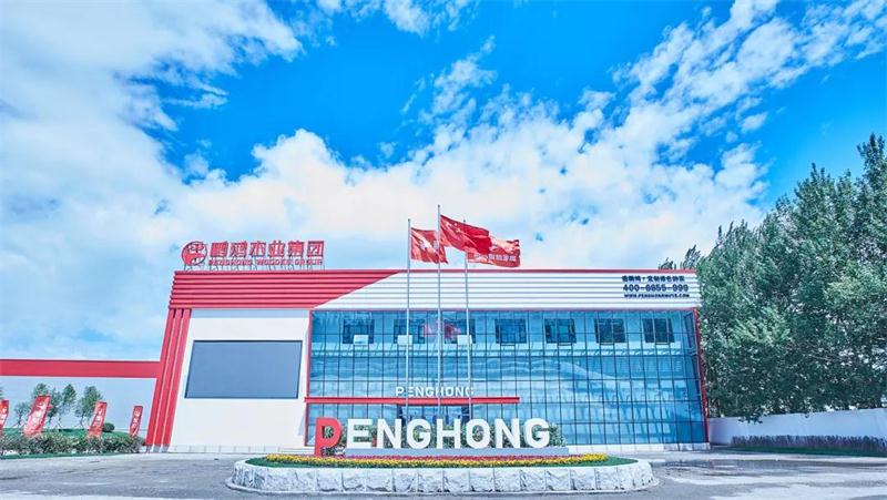bifa必发集团“定造家”升级“妄想家”