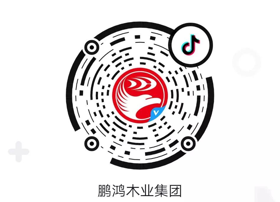 这厢有礼丨这个春节我最鸿，抖音相伴幸福年